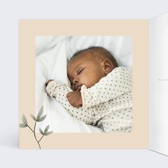 Faire part naissance Petite Prairie Intérieur Gauche
