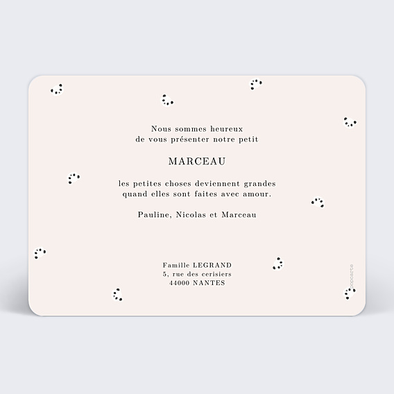 Faire-part Naissance Pictos panda