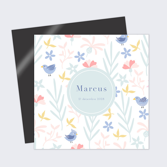 Faire part naissance Oisillons