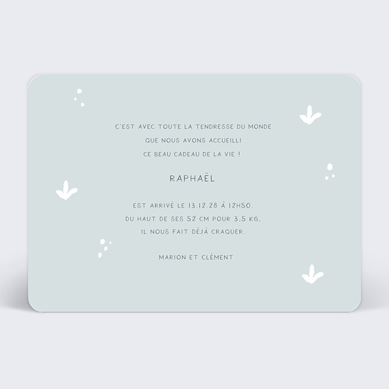 Faire part naissance Baleine certificat Verso