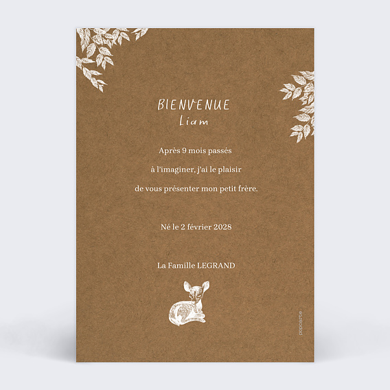 Faire part naissance Crayon Bébé Verso