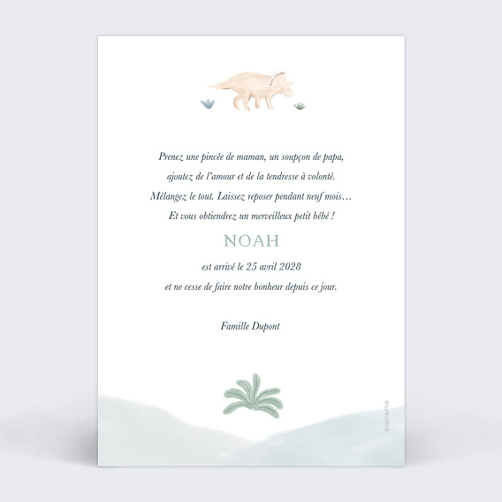 Faire part naissance Grand Dino Verso