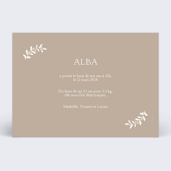 Faire part naissance Joli cadre Verso