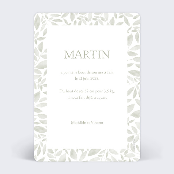 Faire part naissance Jolis brins Verso