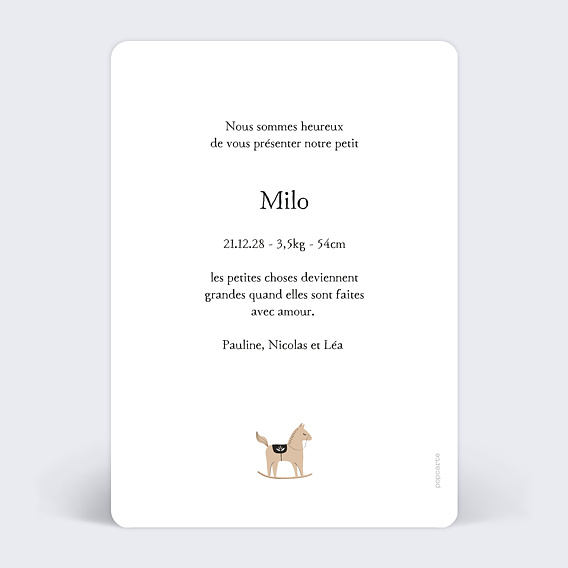 Faire part naissance Jouets terracotta Verso