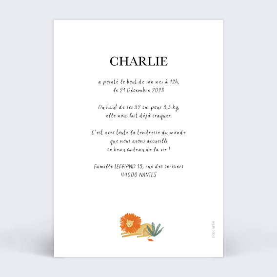 Faire part naissance Jungle animée Verso