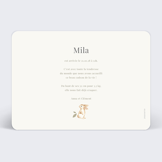 Faire part naissance Lapin champêtre Verso