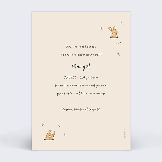 Faire part naissance Lapin dans son Terrier Verso