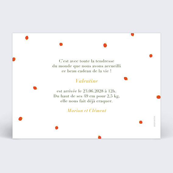 Faire part naissance Liberty Été Verso