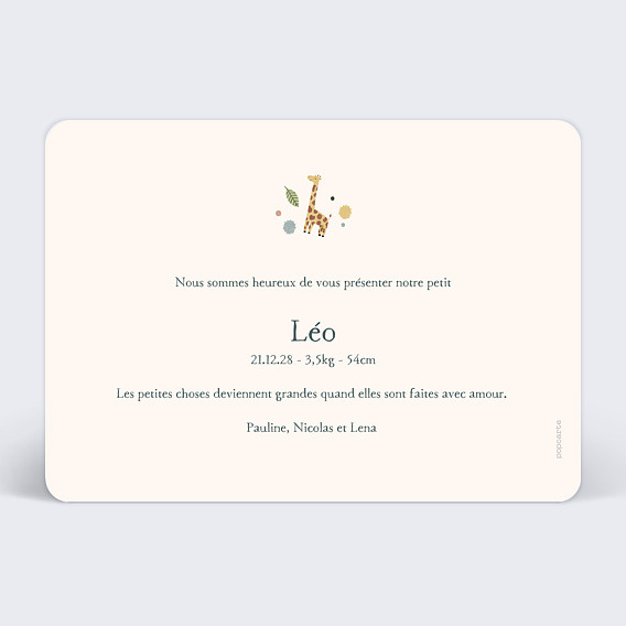 Faire part naissance Mobile Jungle Verso