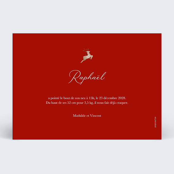 Faire part naissance Noël Frise Verso