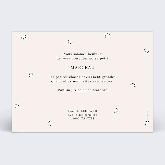 Faire part naissance Pictos panda Verso