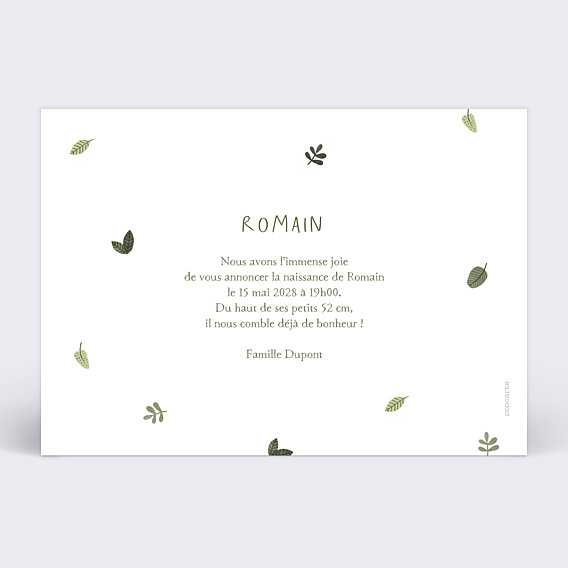 Faire part naissance Petit Lion Photo Verso