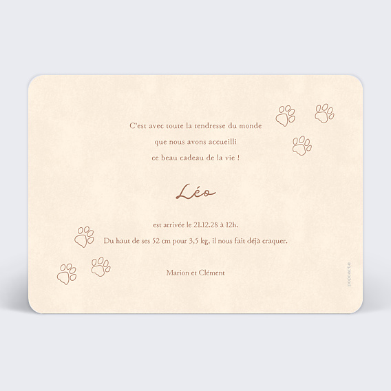 Faire part naissance Petit Roi Verso