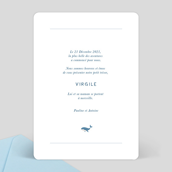 Faire part naissance Pictogrammes Baleineau Verso