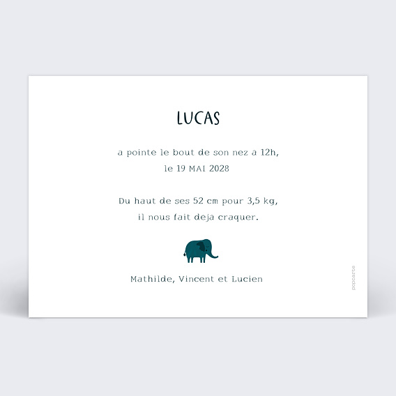 Faire part naissance Pyramide de la jungle Verso