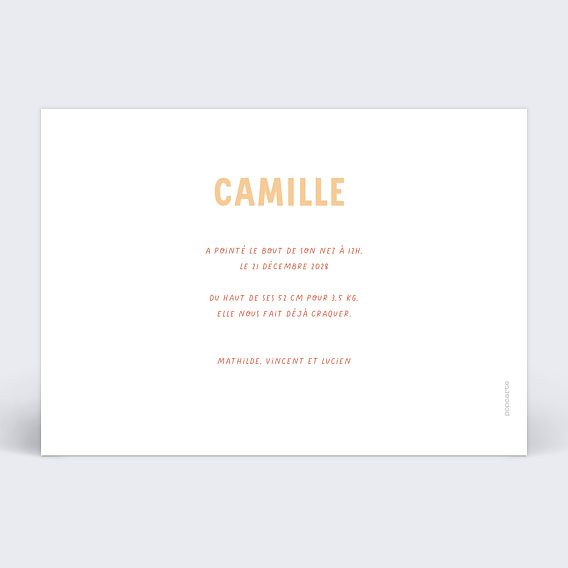 Faire part naissance Vélo en famille Verso