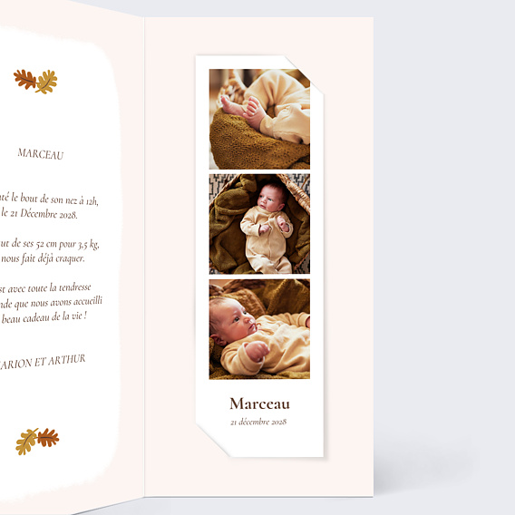 Faire part naissance Renard picto Intérieur Droit