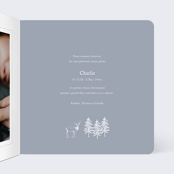 Faire-part Naissance Pattern Hiver