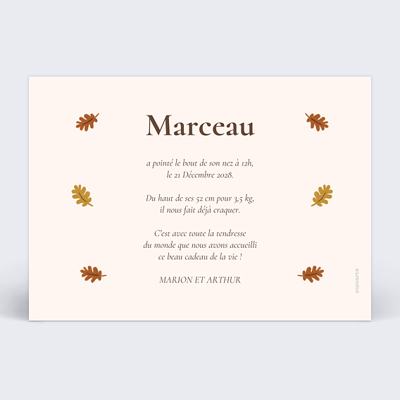 Faire part naissance Renard picto Verso