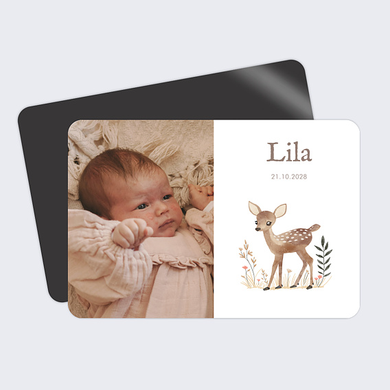 Faire part naissance Faon