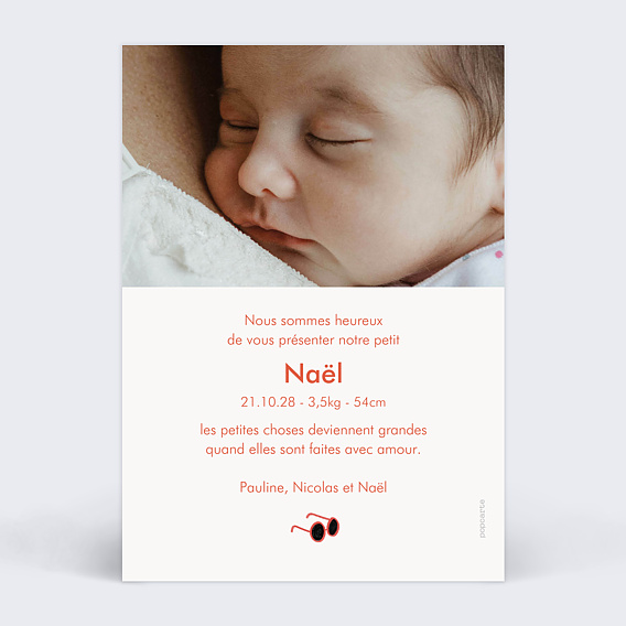 Faire part naissance Famille Chien Verso