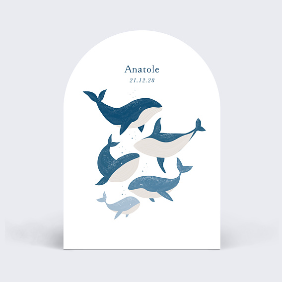 Faire part naissance Famille Baleine