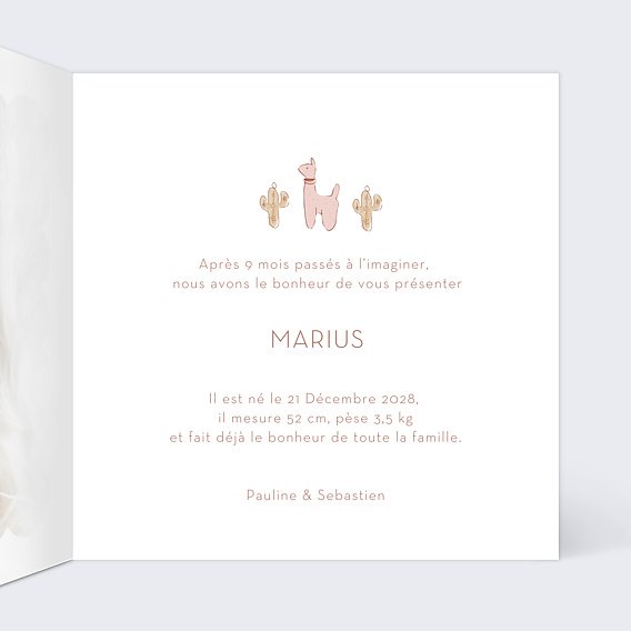 Faire part naissance Mobile Intérieur Droit