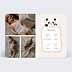 Faire-part Naissance Pictos panda