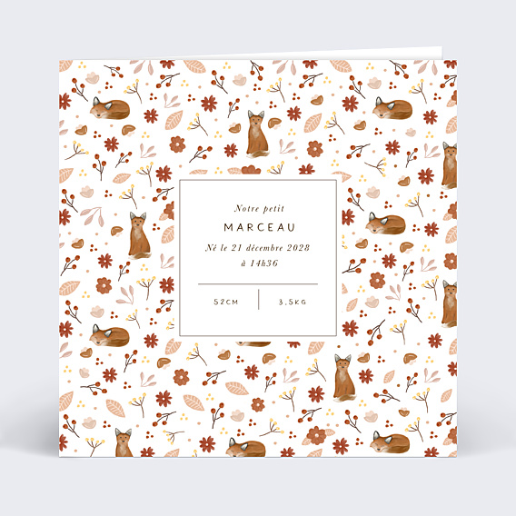 Faire-part Naissance Pattern Renardeau