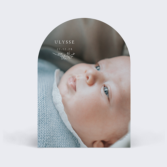 Faire part naissance Photo Brindille