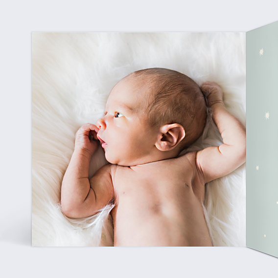 Faire-part Naissance Petite Licorne