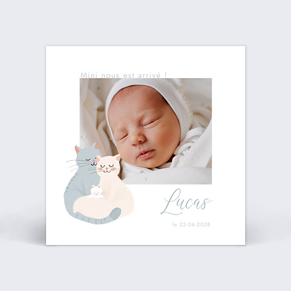 Faire-part Naissance Famille chat