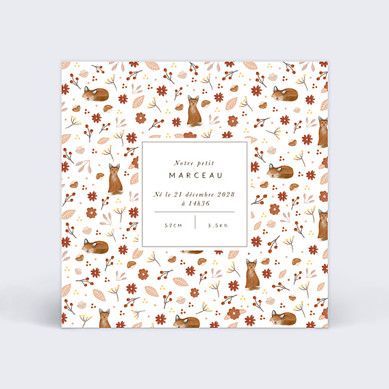 Faire part naissance Pattern Renardeau