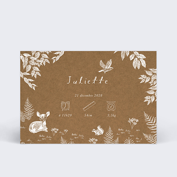 Faire-part Naissance Crayon Blanc Kraft