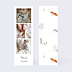 Faire-part Naissance Couronne renard