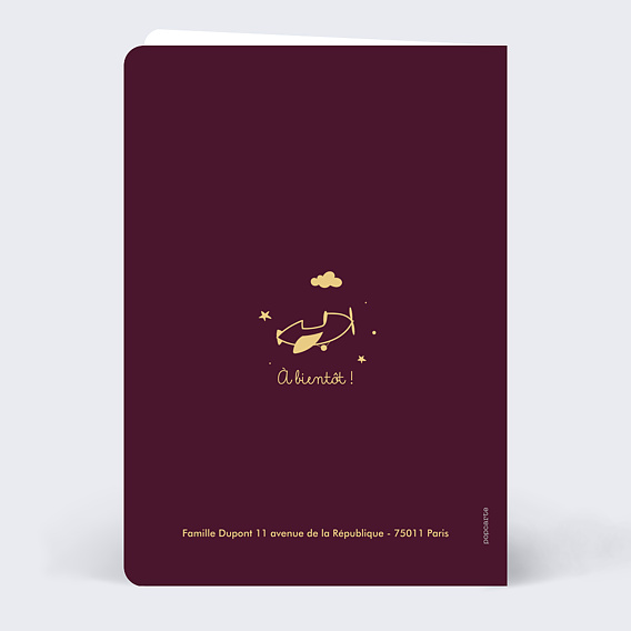 Faire part naissance Passeport Verso