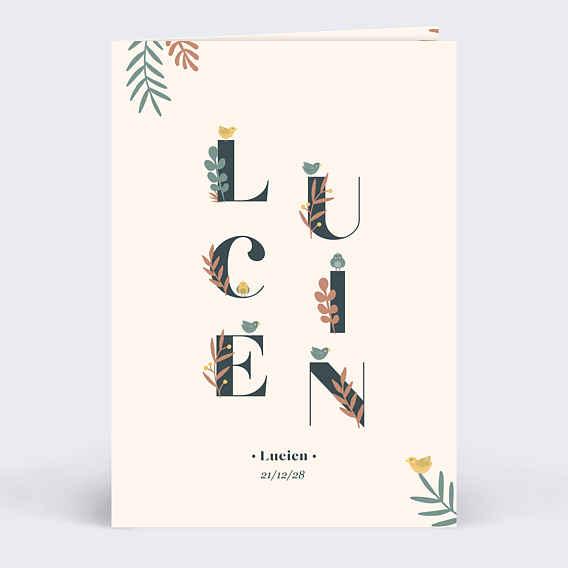 Faire part naissance Mésange Prénom Recto