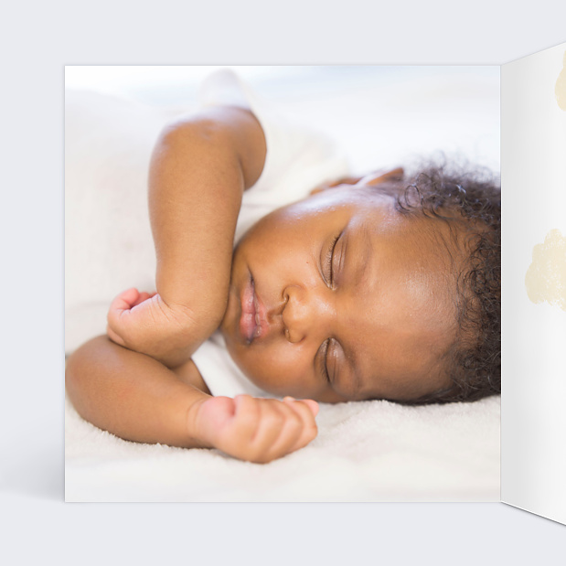 Félicitations Naissance Renard Automne