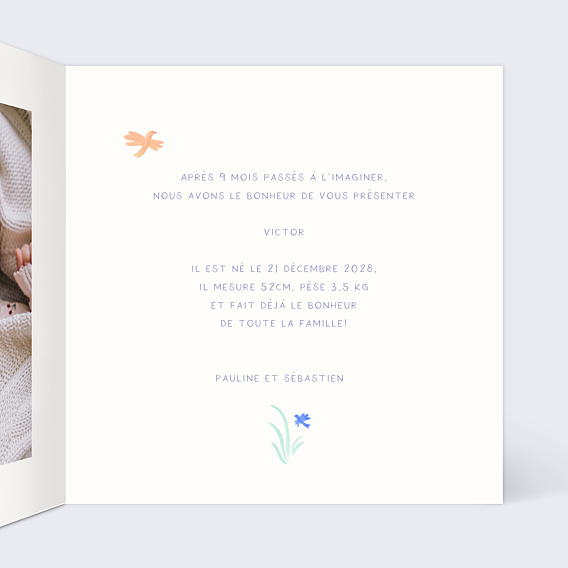Faire part naissance Petits oiseaux Intérieur Droit