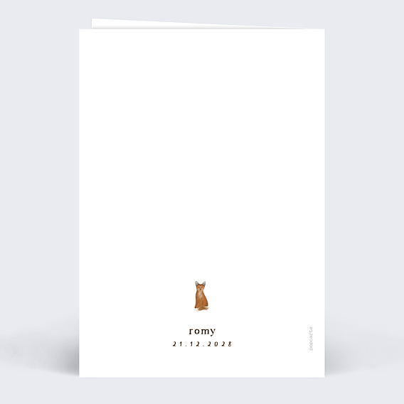 Faire-part Naissance Frise Renard
