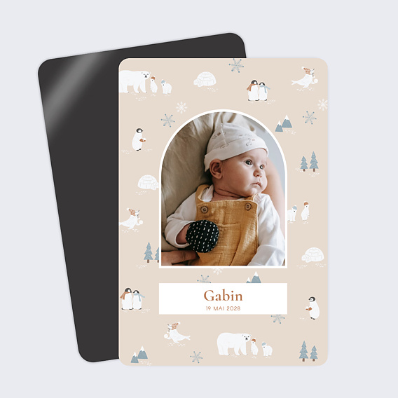 Faire part naissance Motif hivernal