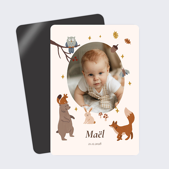 Faire part naissance Amis de la forêt