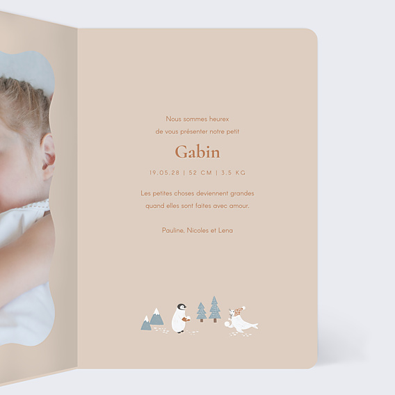 Faire-part Naissance Motif hivernal