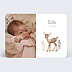 Faire part naissance Faon