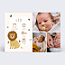 Faire part naissance Lion picto
