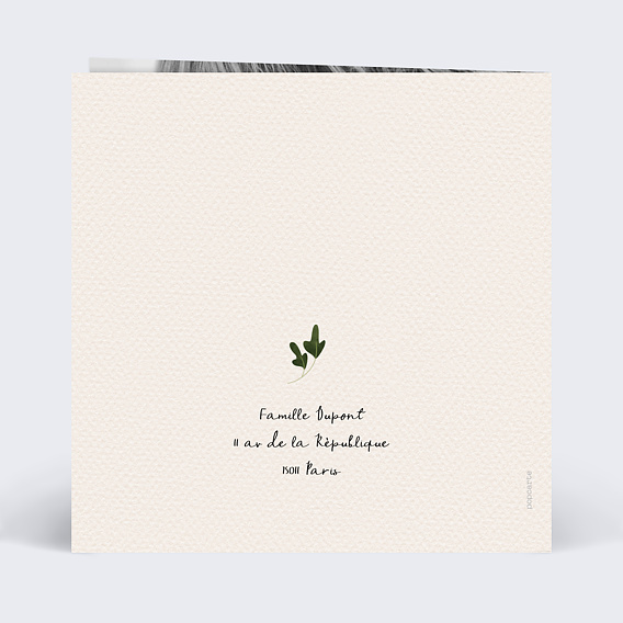 Faire part naissance Joli Renard Verso