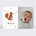 Faire-part Naissance Renard automne