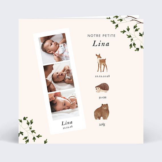 Faire part naissance Découpe Forêt Recto