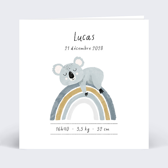 Faire part naissance Dodo de koala  Recto